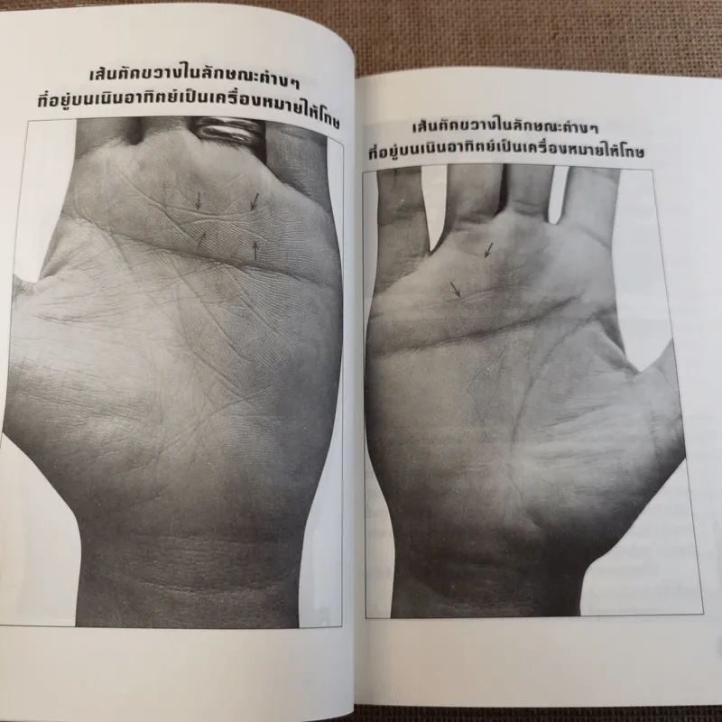 เส้นสายลายมือ สื่อความรัก - อ.เบญจะ ชินปัญชนะ รูปที่ 16