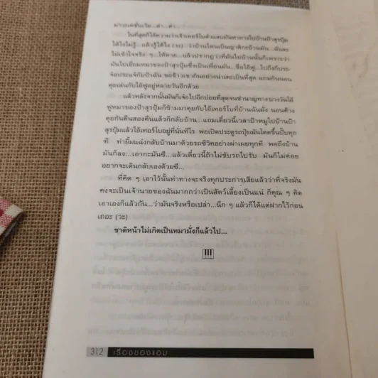 เรื่องของแอม - แอม เสาวลักษณ์ ลีละบุตร รูปที่ 12