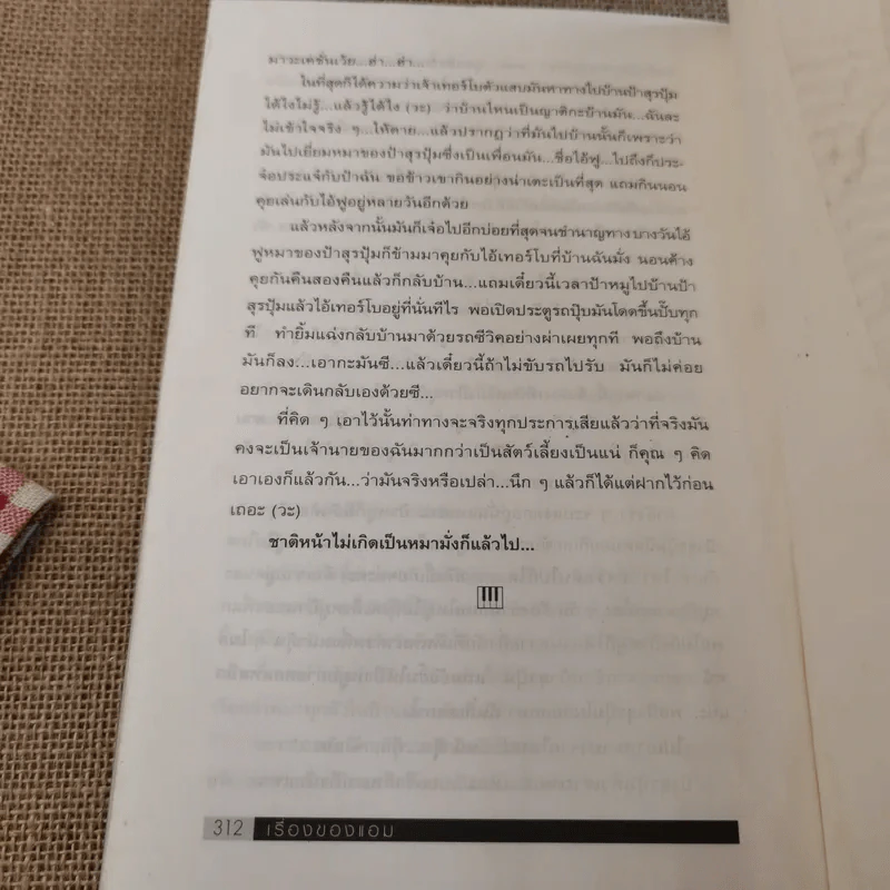 เรื่องของแอม - แอม เสาวลักษณ์ ลีละบุตร รูปที่ 12
