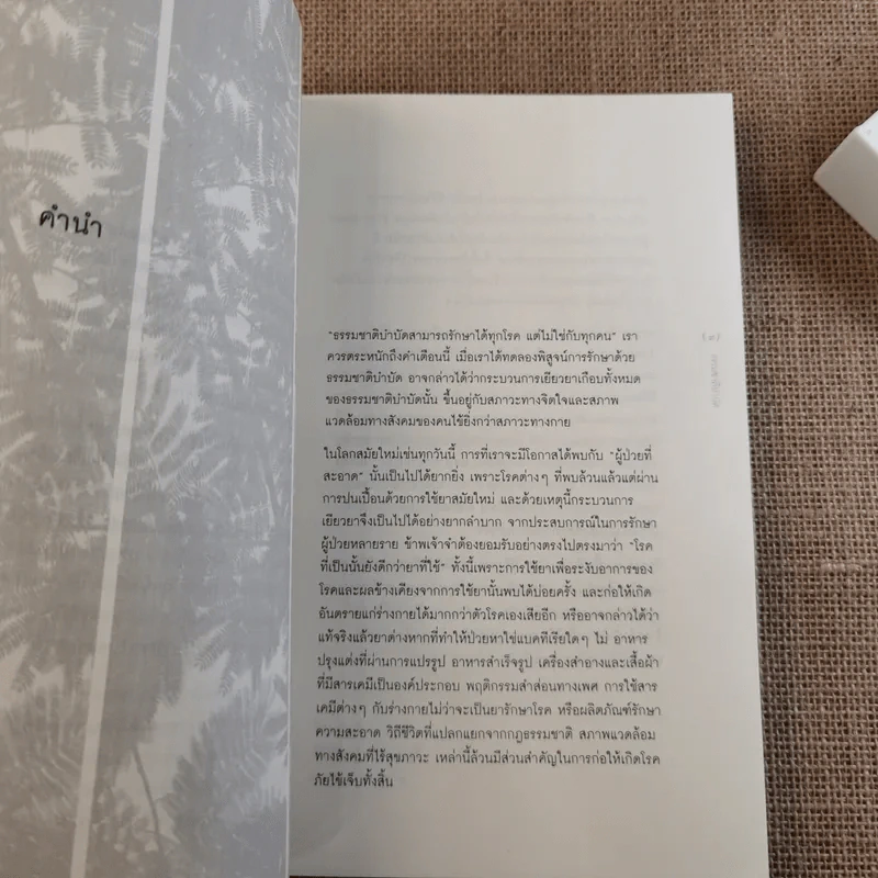 ธรรมชาติบำบัด ศิลปะการเยียวยาร่างกายและจิตใจเพื่อสมดุลของชีวิต รูปที่ 9