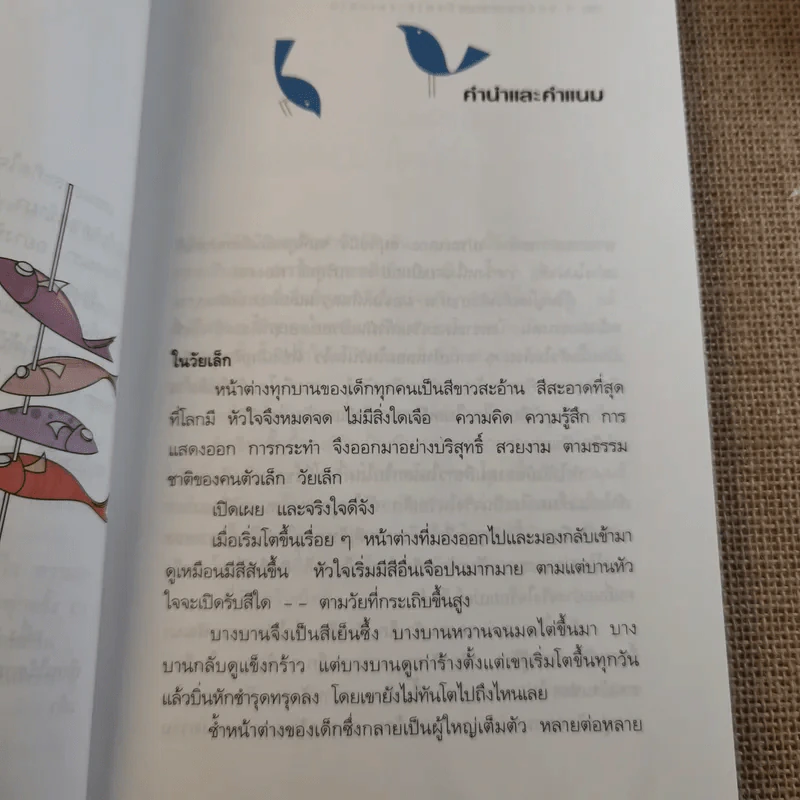 มองออกไปนอกหน้าต่างบานขาว - ศิเรมอร อุณหธูป รูปที่ 12