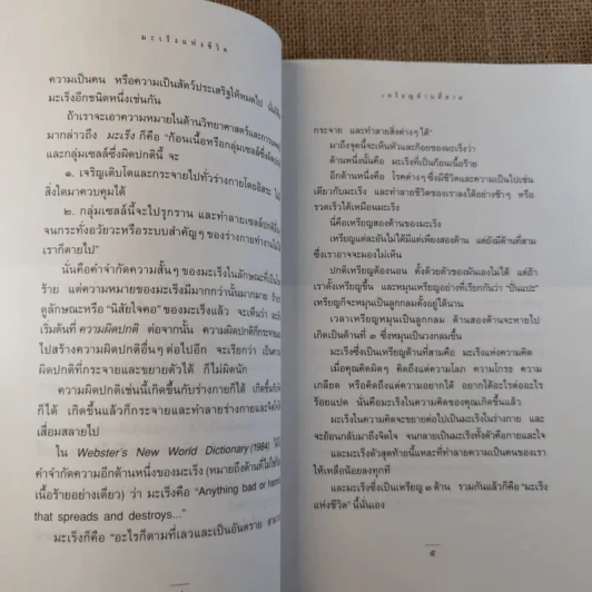 มะเร็งแห่งชีวิต - สาทิส อินทรกำแหง รูปที่ 14