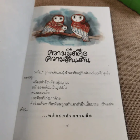 เค้าแมวน้อยกลัวความมืด - จิลล์ ทอมลินสัน รูปที่ 12
