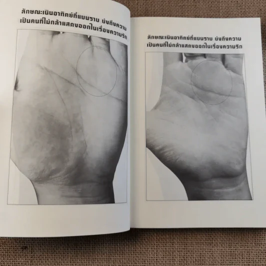 เส้นสายลายมือสื่อความรัก - อ.เบญจะ ชินปัญชนะ รูปที่ 13