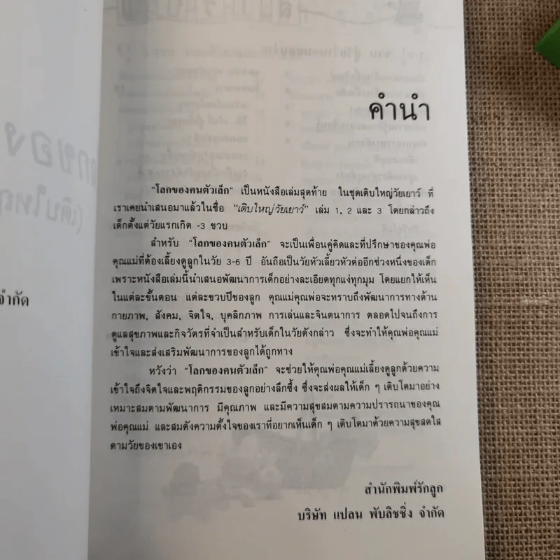 โลกของคนตัวเล็ก เติบใหญ่วัยเยาว์ 3-6 ปี รูปที่ 9