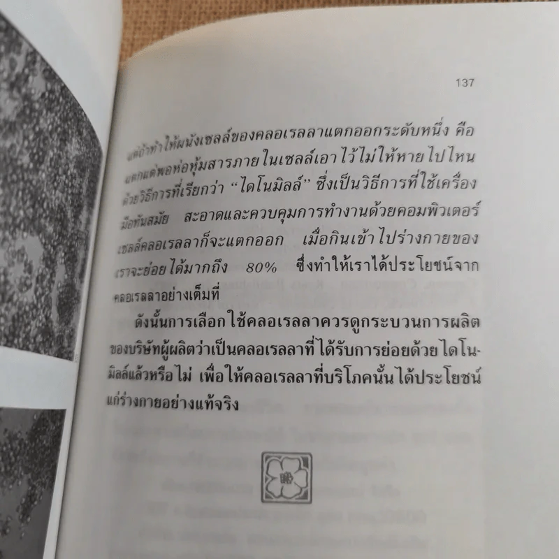 สาหร่ายเซลล์เดียว สารอาหารจากแสงตะวัน รูปที่ 13
