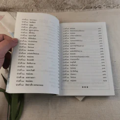 เจ้าแม่กวนอิน อวตาร 84 ภาค นิรมาณกาย - สายรุ้ง กรุงธน รูปที่ 8