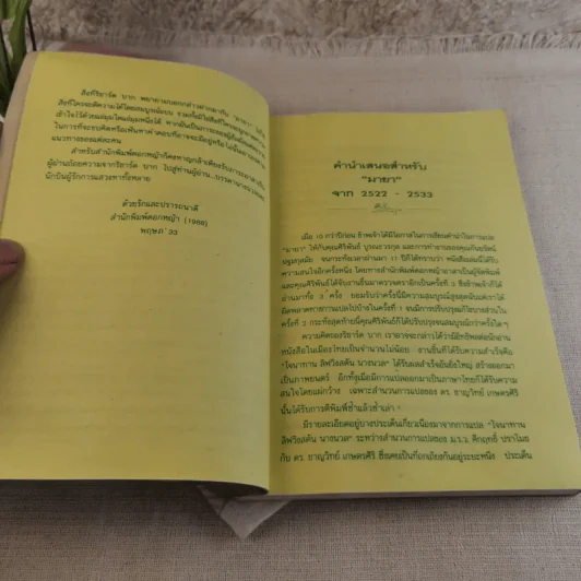มายา - ศิริพันธ์ บูรณะวรกุล แปล รูปที่ 8