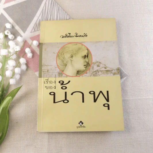 เรื่องของน้ำพุ - วงศ์เมือง นันทขว้าง รูปที่ 1