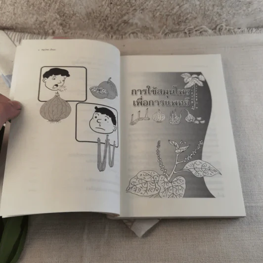 สมุนไพรเป็นยา Medicinal Herbs - เบญจพรรณ ศิงขราภูมิ รูปที่ 10