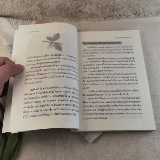 สมุนไพรเป็นยา Medicinal Herbs - เบญจพรรณ ศิงขราภูมิ รูปที่ 11