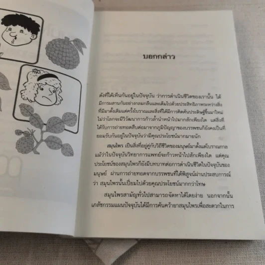 สมุนไพรเป็นยา Medicinal Herbs - เบญจพรรณ ศิงขราภูมิ รูปที่ 8