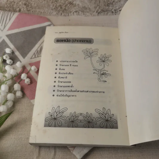 สมุนไพรเป็นยา Medicinal Herbs - เบญจพรรณ ศิงขราภูมิ รูปที่ 13
