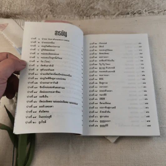 เจ้าแม่กวนอิน อวตาร 84 ภาค นิรมาณกาย - สายรุ้ง กรุงธน รูปที่ 7