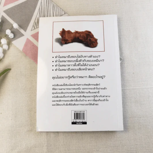 รู้ไหมหมาคิดอะไรอยู่? รูปที่ 13