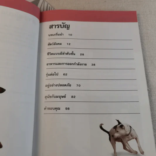 รู้ไหมหมาคิดอะไรอยู่? รูปที่ 10