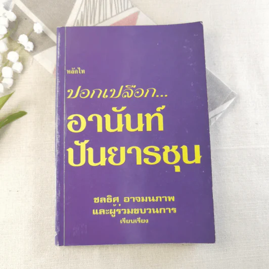 ปอกเปลือกอานันท์ ปันยารชุน รูปที่ 1