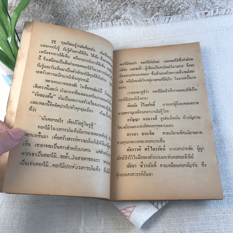ดอกไม้ในรูหู - ศุภักษร รูปที่ 7