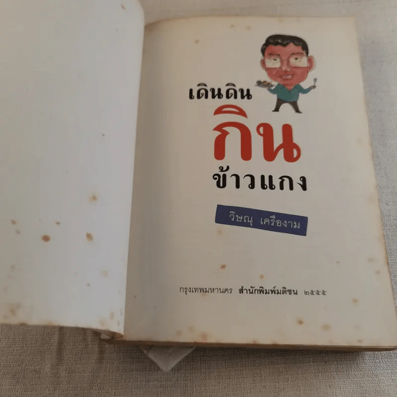 เดินดินกินข้าวแกง - วิษณุ เครืองาม รูปที่ 6