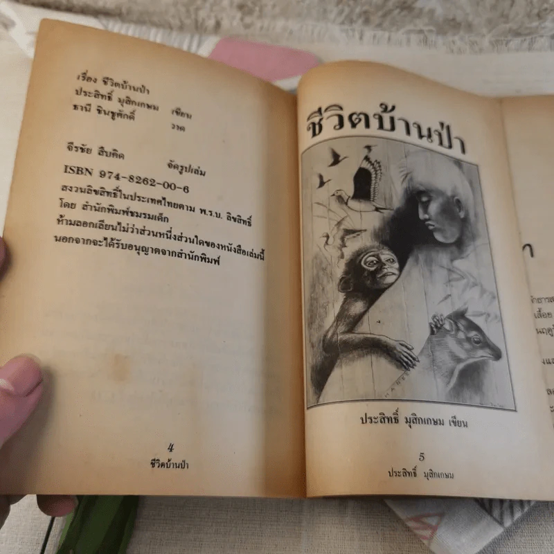 ชีวิตบ้านป่า - ประสิทธิ์ มุสิกเกษม รูปที่ 7