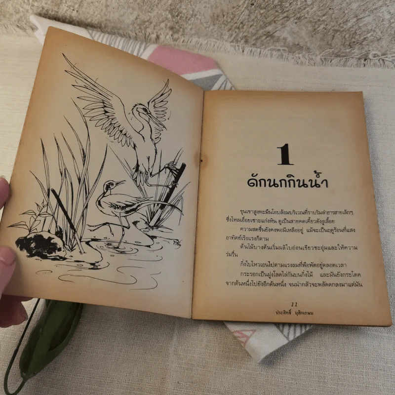 ชีวิตบ้านป่า - ประสิทธิ์ มุสิกเกษม รูปที่ 10