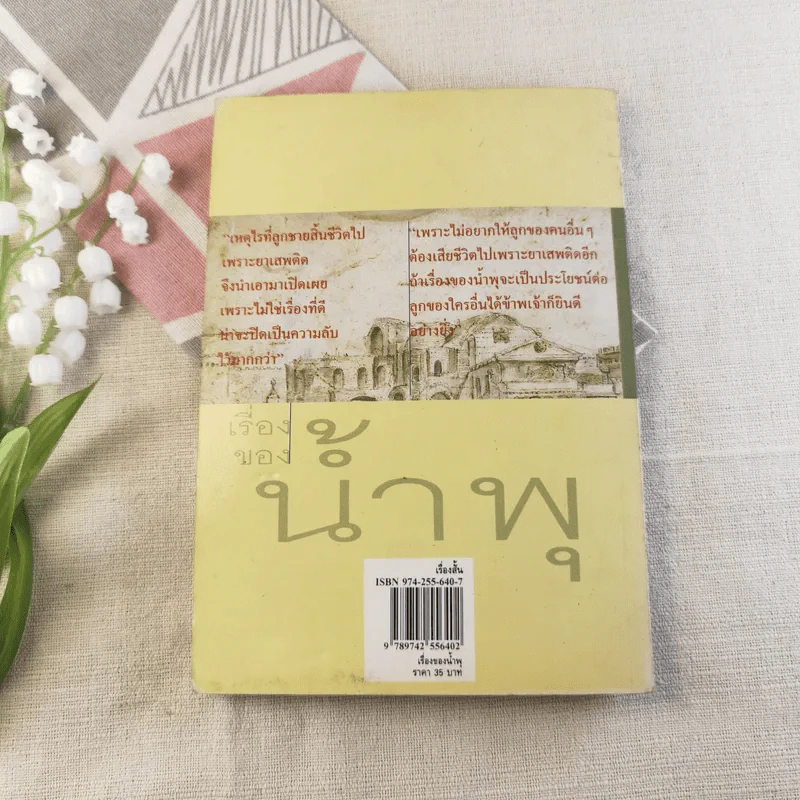 เรื่องของน้ำพุ - วงศ์เมือง นันทขว้าง รูปที่ 12