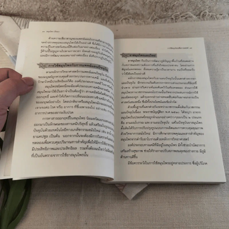 สมุนไพรเป็นยา Medicinal Herbs - เบญจพรรณ ศิงขราภูมิ รูปที่ 12