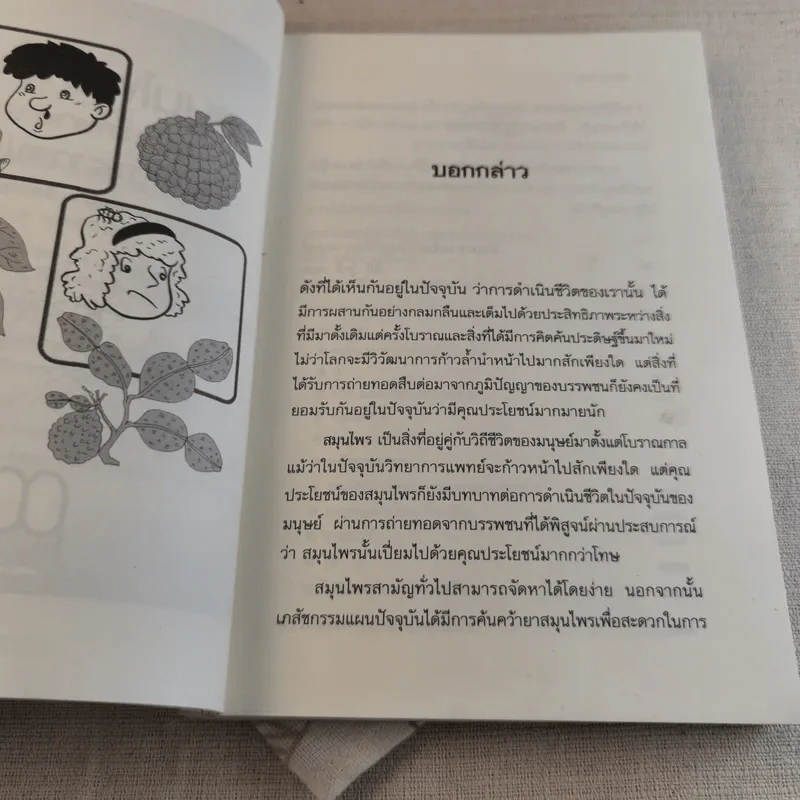 สมุนไพรเป็นยา Medicinal Herbs - เบญจพรรณ ศิงขราภูมิ รูปที่ 8