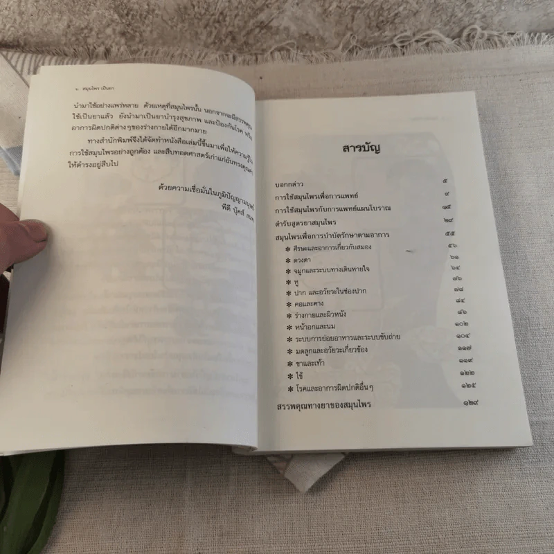 สมุนไพรเป็นยา Medicinal Herbs - เบญจพรรณ ศิงขราภูมิ รูปที่ 9
