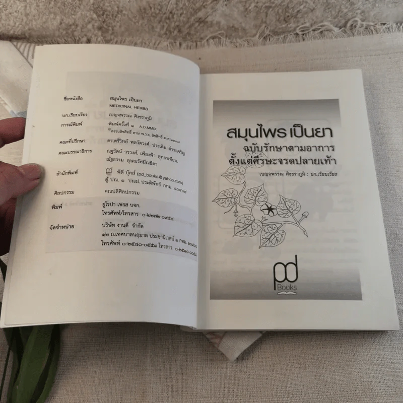 สมุนไพรเป็นยา Medicinal Herbs - เบญจพรรณ ศิงขราภูมิ รูปที่ 7