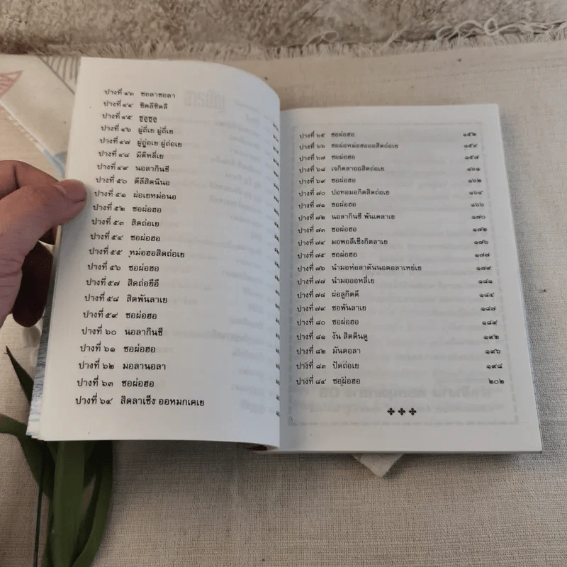 เจ้าแม่กวนอิน อวตาร 84 ภาค นิรมาณกาย - สายรุ้ง กรุงธน รูปที่ 8
