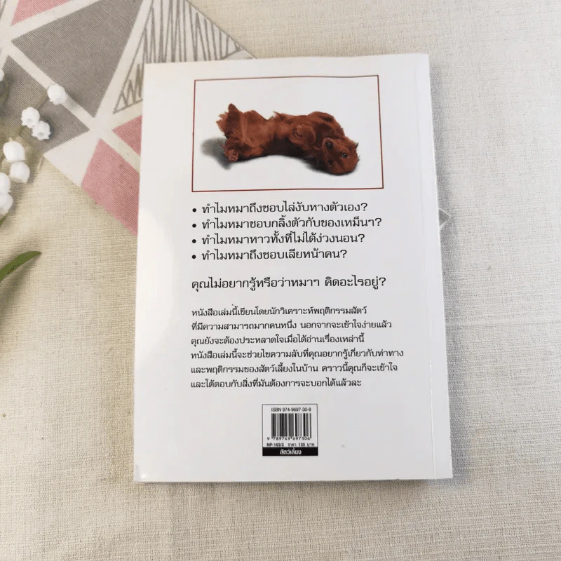 รู้ไหมหมาคิดอะไรอยู่? รูปที่ 13