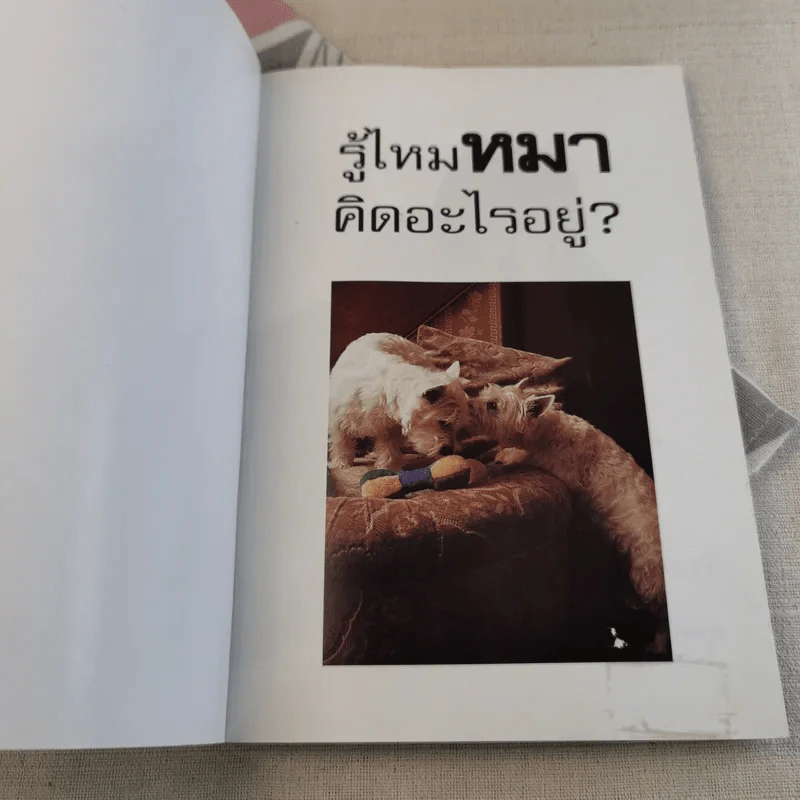 รู้ไหมหมาคิดอะไรอยู่? รูปที่ 6