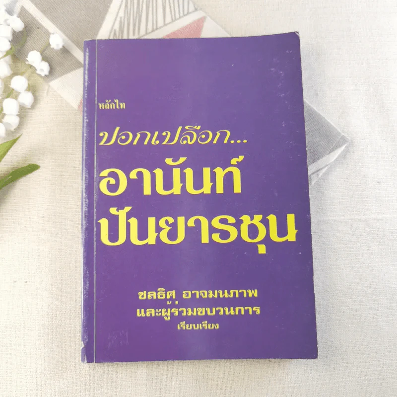 ปอกเปลือกอานันท์ ปันยารชุน รูปที่ 1