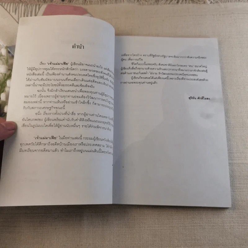 พลิกแฟ้มคดีดัง เจ้าแม่มาเฟีย - สุริยัน ศักดิ์ไธสง รูปที่ 5