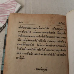 สินในน้ำ - ไม้เมืองเดิม รูปที่ 12