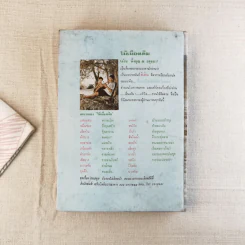 สินในน้ำ - ไม้เมืองเดิม รูปที่ 2