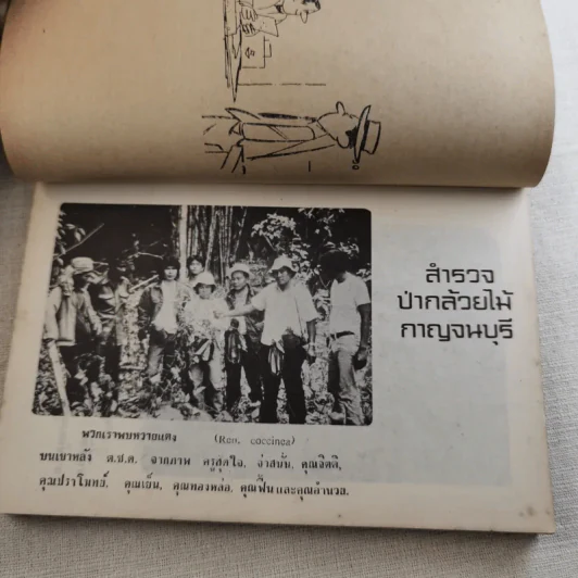 อาถรรพณ์กล้วยไม้ รูปที่ 12