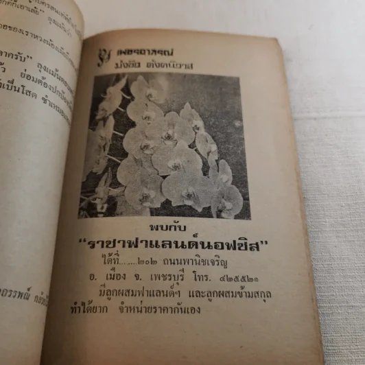 อาถรรพณ์กล้วยไม้ รูปที่ 16