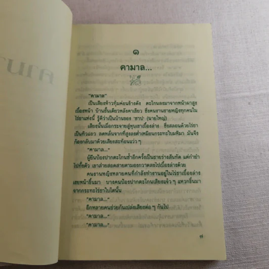 คามาล - รพีพร รูปที่ 9
