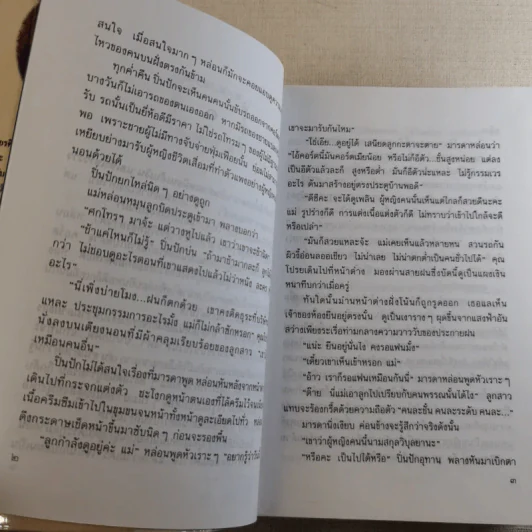 เลื่อมสลับลาย - กฤษณา อโศกสิน รูปที่ 10