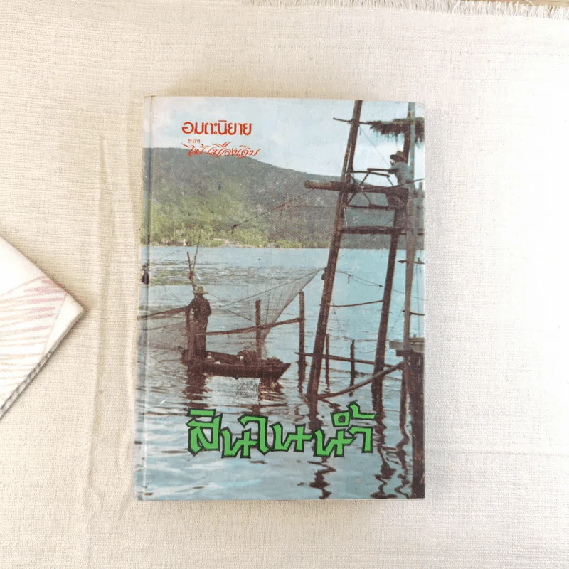 สินในน้ำ - ไม้เมืองเดิม รูปที่ 1