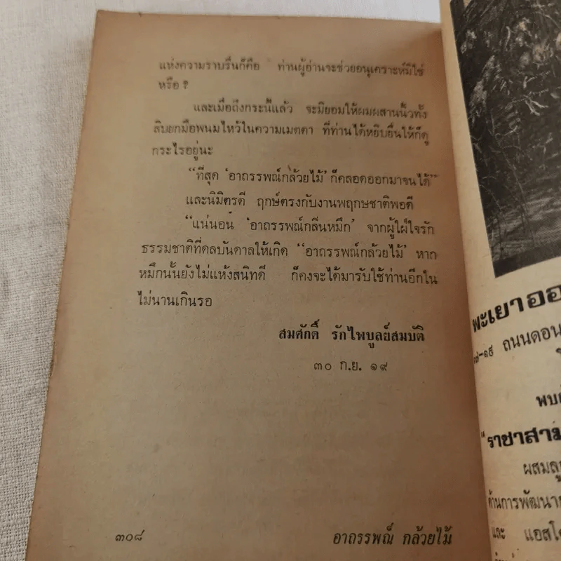 อาถรรพณ์กล้วยไม้ รูปที่ 18