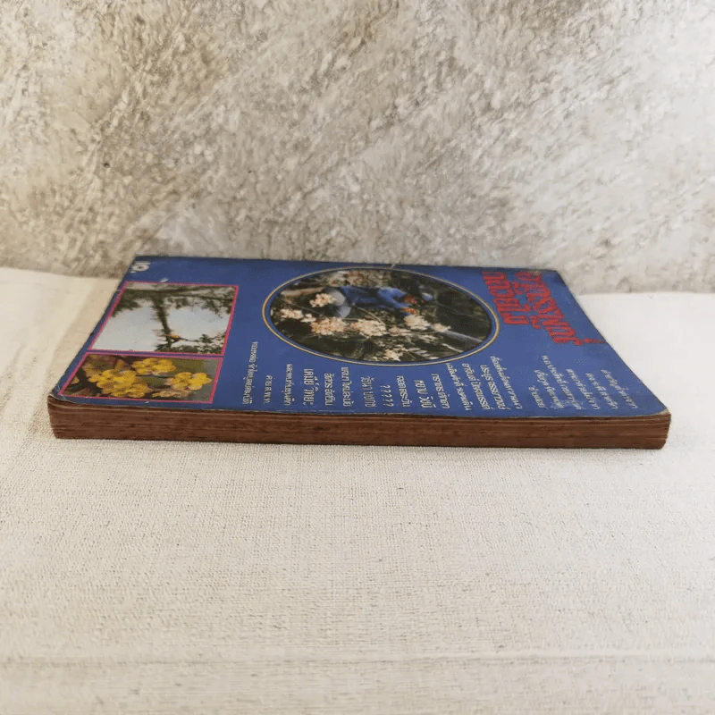 อาถรรพณ์กล้วยไม้ รูปที่ 4
