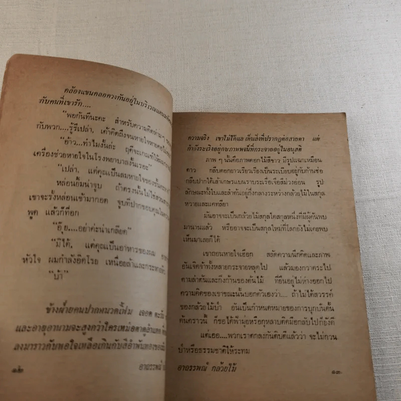 อาถรรพณ์กล้วยไม้ รูปที่ 11