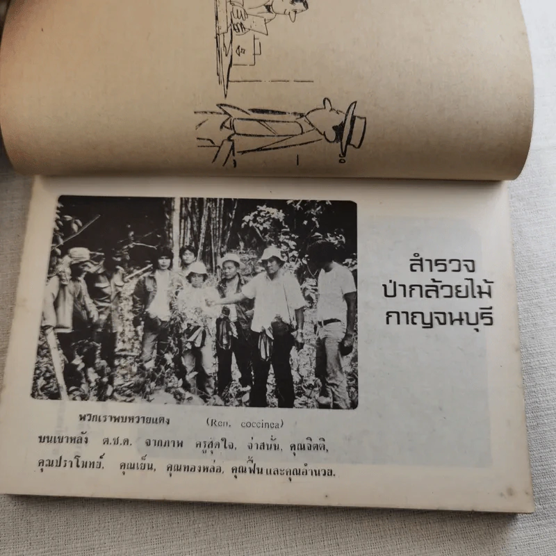 อาถรรพณ์กล้วยไม้ รูปที่ 12