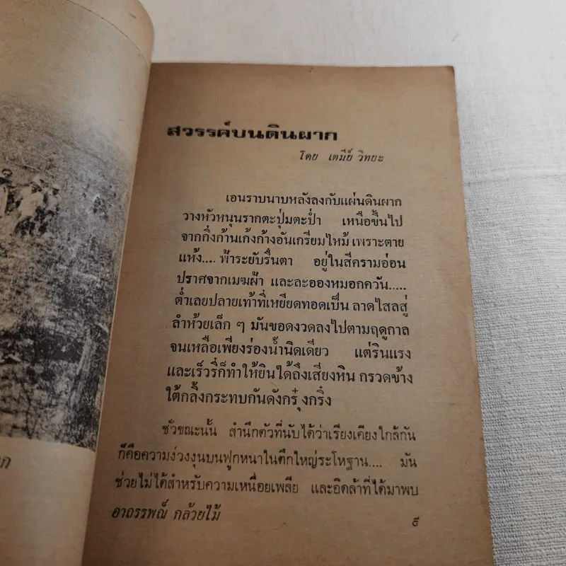 อาถรรพณ์กล้วยไม้ รูปที่ 9