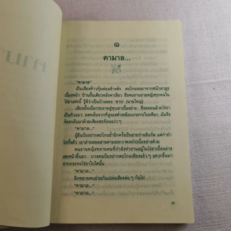 คามาล - รพีพร รูปที่ 9