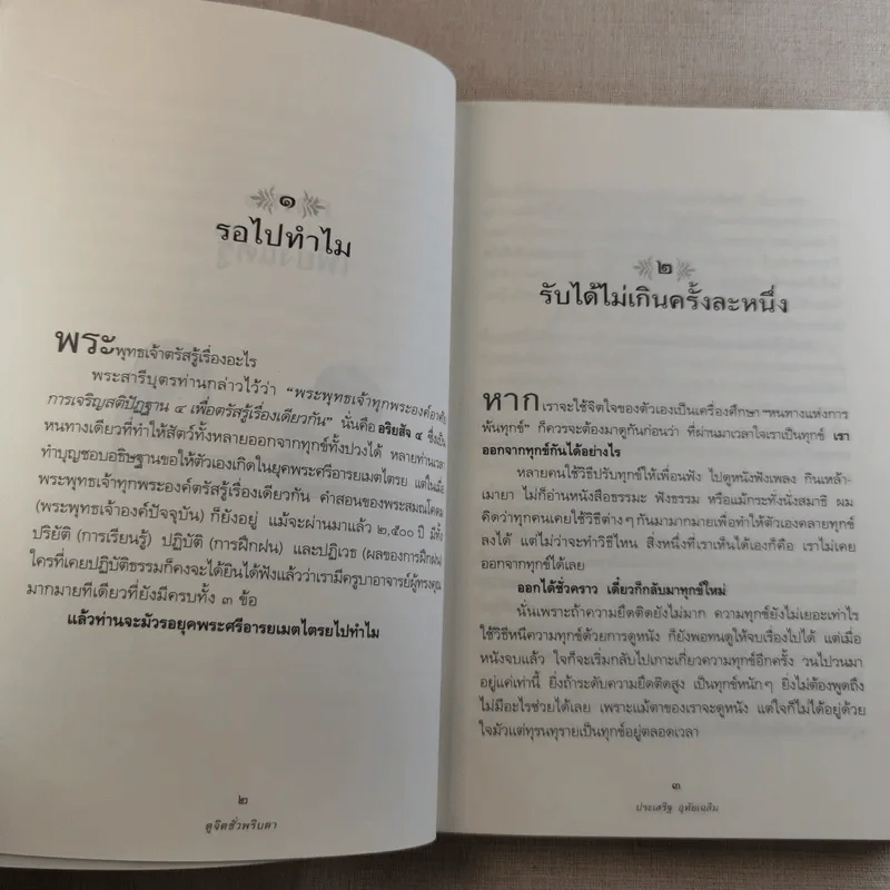 ดูจิตชั่วพริบตา - ปัญญาวโรภิกขุ (ประเสริฐ อุทัยเฉลิม) รูปที่ 13