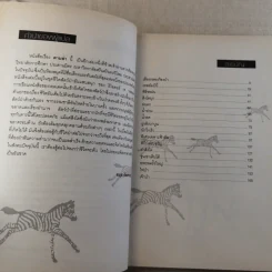 ตามล่า การผจญภัยของสิงห์หนุ่ม รูปที่ 9